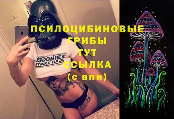 не бодяженный Почеп