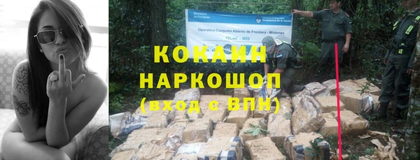 гидра Медногорск