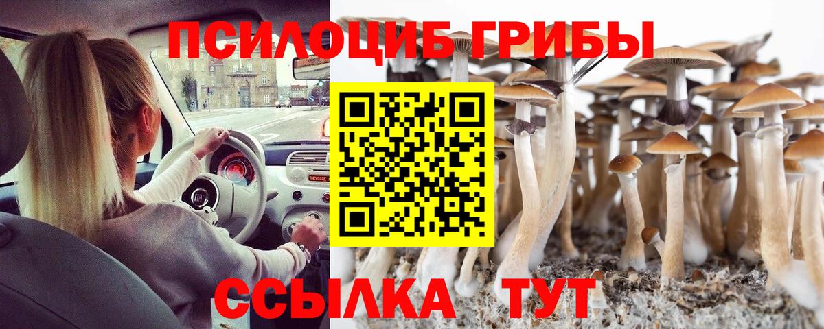 Галлюциногенные грибы прущие грибы Улан-Удэ